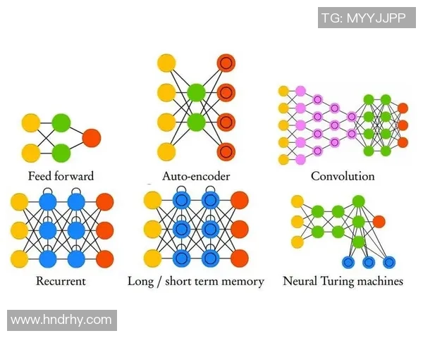 深圳网球队快攻战术解析与训练方法深度剖析